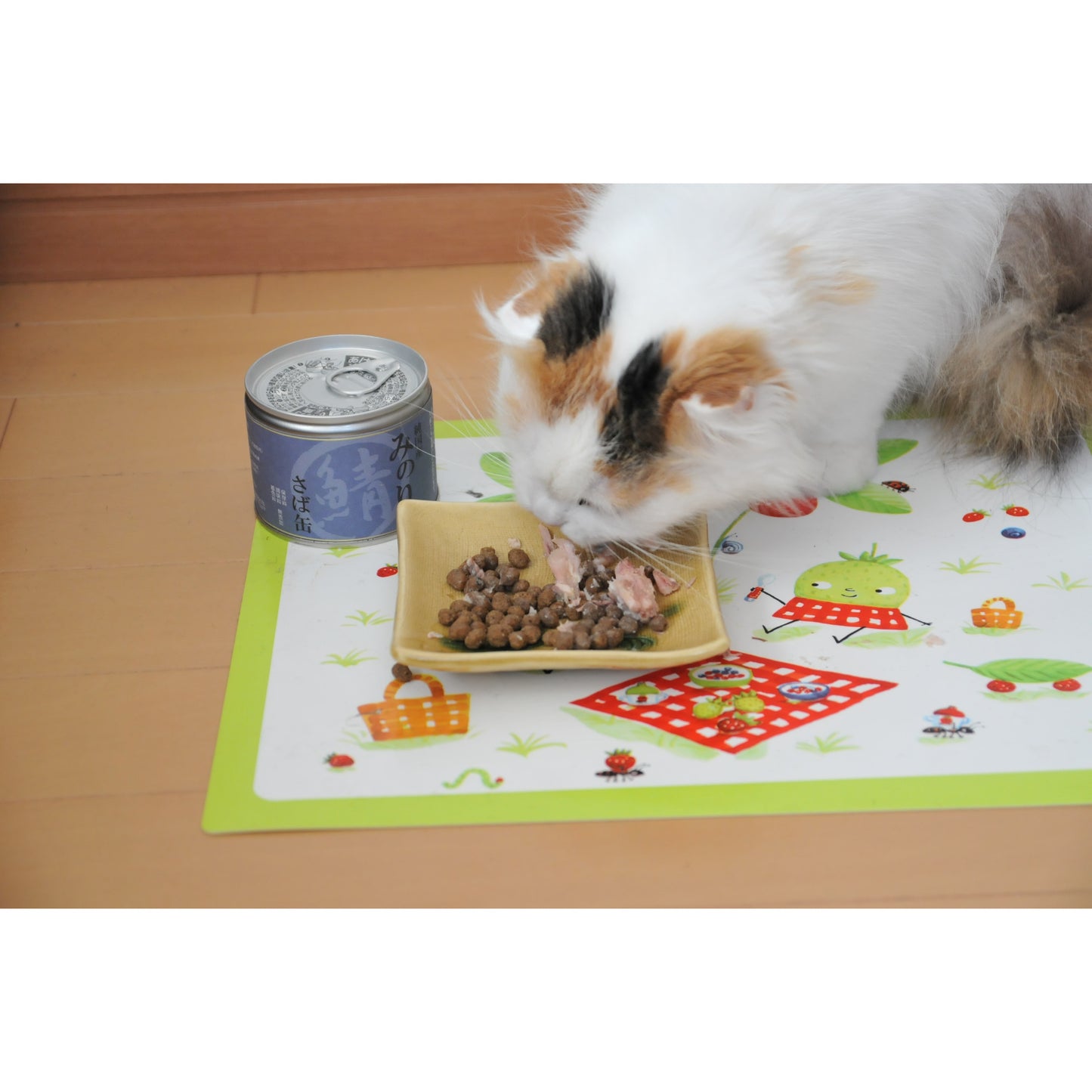 日本のみのり さば缶 150g