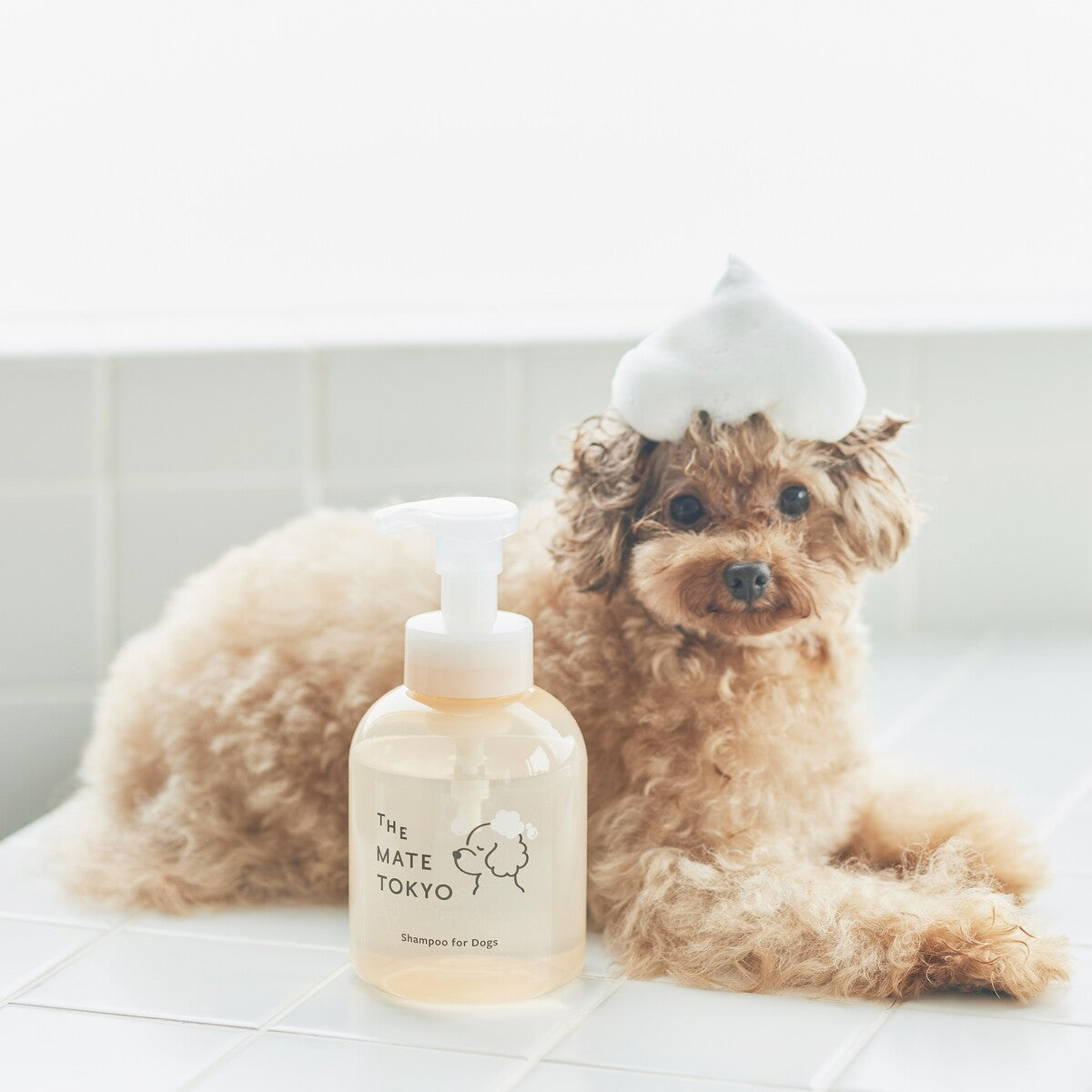 THE MATE TOKYO スキンケアシャンプー(泡タイプ)|犬用・獣医師トリマー監修