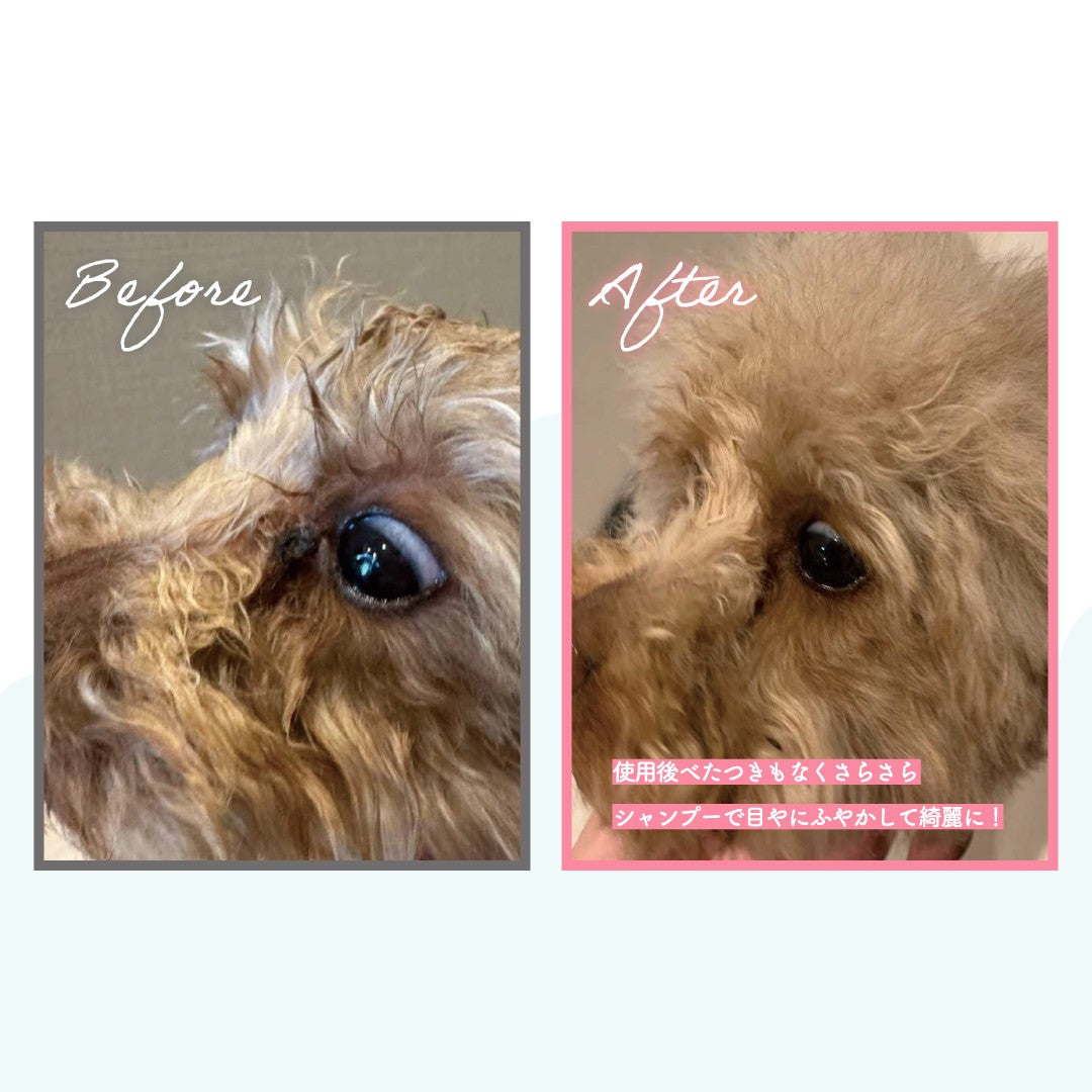 Maluke マルーク 犬猫用 洗い流さない 炭酸シャンプー