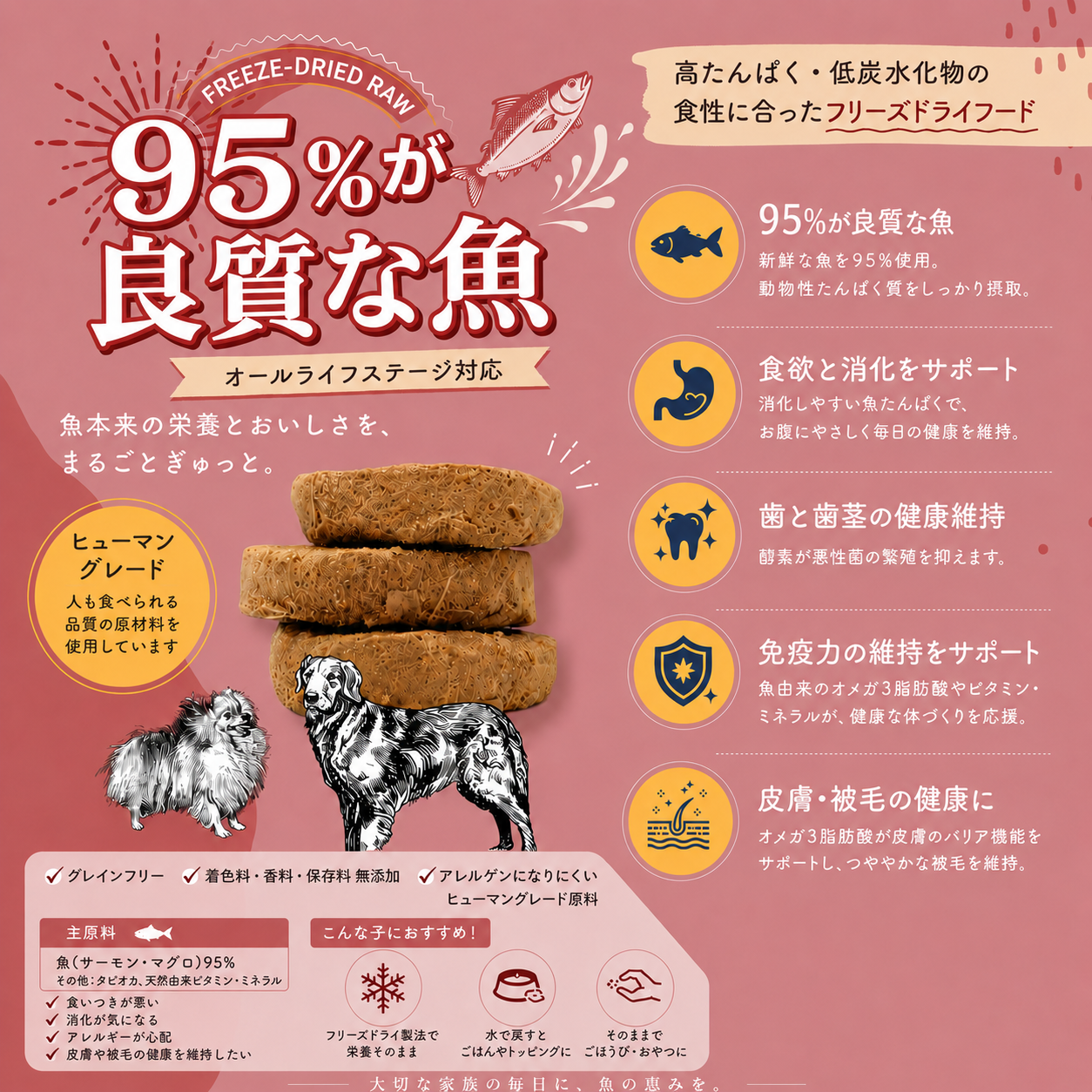 Kelly & Co's 犬用総合栄養食 パティミール マグロフォーミュラ