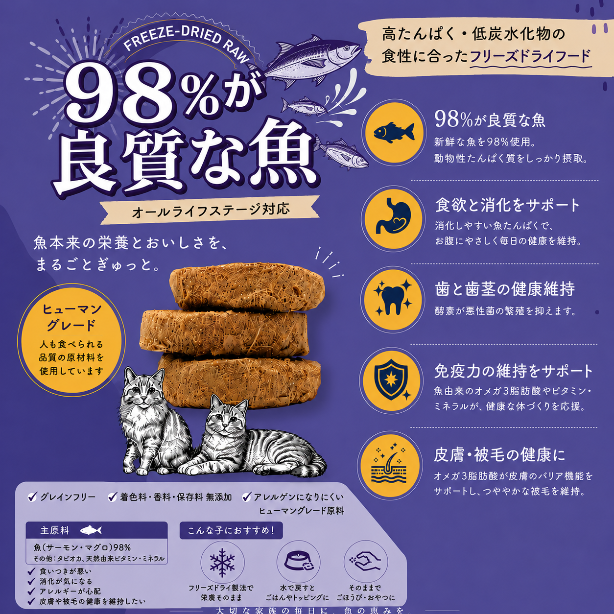 Kelly & Co's 猫用総合栄養食 パティミール マグロフォーミュラ